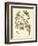 Nature Study in Sepia II-Maria Sibylla Merian-Framed Premium Giclee Print