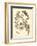 Nature Study in Sepia II-Maria Sibylla Merian-Framed Premium Giclee Print