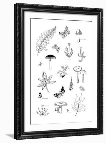 Nature Trail-Clara Wells-Framed Giclee Print