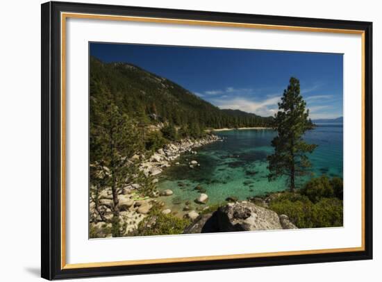 Nature Walk-Natalie Mikaels-Framed Photographic Print