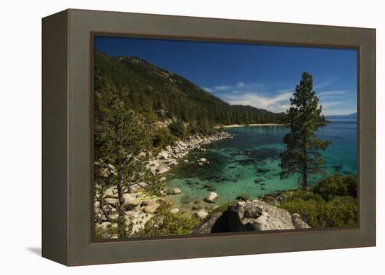 Nature Walk-Natalie Mikaels-Framed Premier Image Canvas