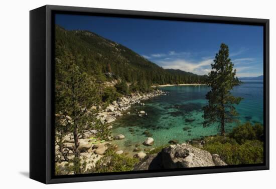 Nature Walk-Natalie Mikaels-Framed Premier Image Canvas