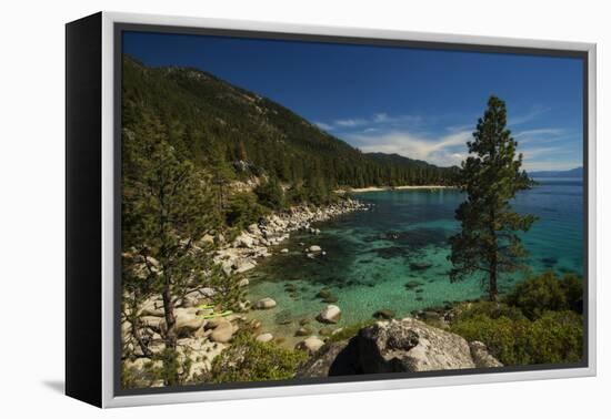 Nature Walk-Natalie Mikaels-Framed Premier Image Canvas