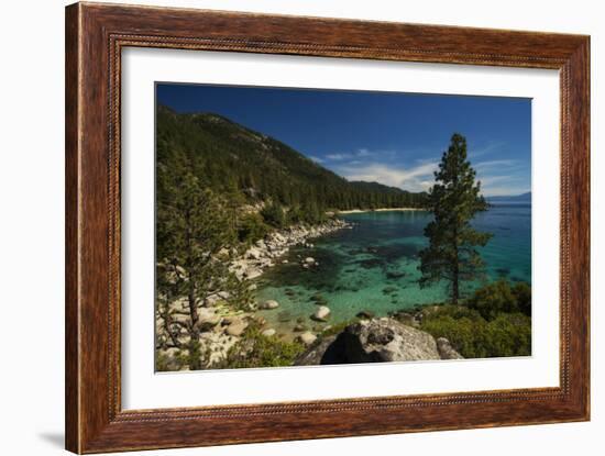 Nature Walk-Natalie Mikaels-Framed Photographic Print