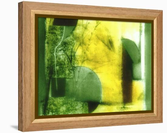 Nature Walk-Ruth Palmer 2-Framed Stretched Canvas