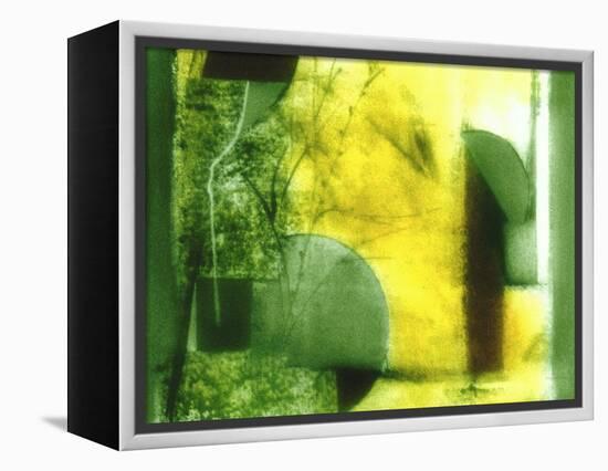 Nature Walk-Ruth Palmer 2-Framed Stretched Canvas