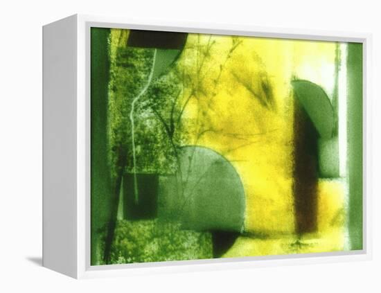 Nature Walk-Ruth Palmer 2-Framed Stretched Canvas