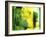 Nature Walk-Ruth Palmer 2-Framed Art Print