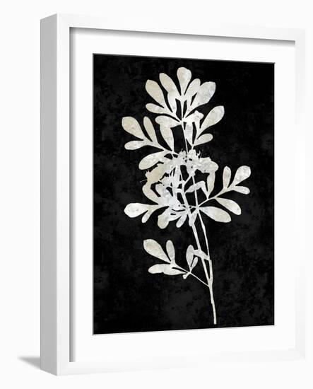 Nature White on Black II-Danielle Carson-Framed Art Print