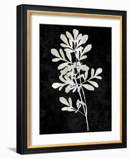 Nature White on Black II-Danielle Carson-Framed Art Print