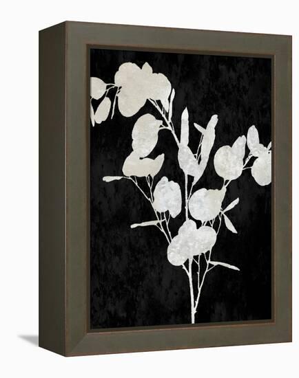 Nature White on Black III-Danielle Carson-Framed Stretched Canvas
