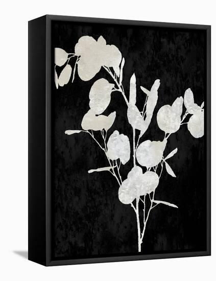 Nature White on Black III-Danielle Carson-Framed Stretched Canvas