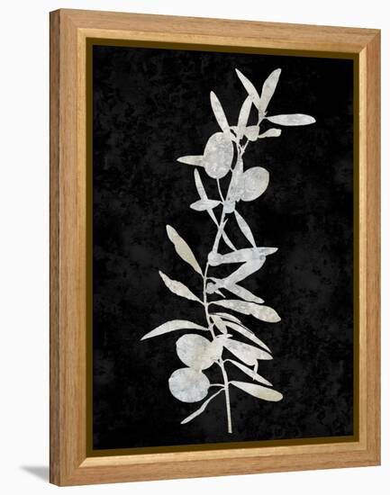 Nature White on Black IV-Danielle Carson-Framed Stretched Canvas