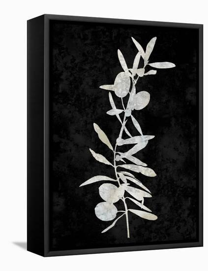 Nature White on Black IV-Danielle Carson-Framed Stretched Canvas