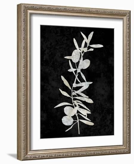 Nature White on Black IV-Danielle Carson-Framed Art Print