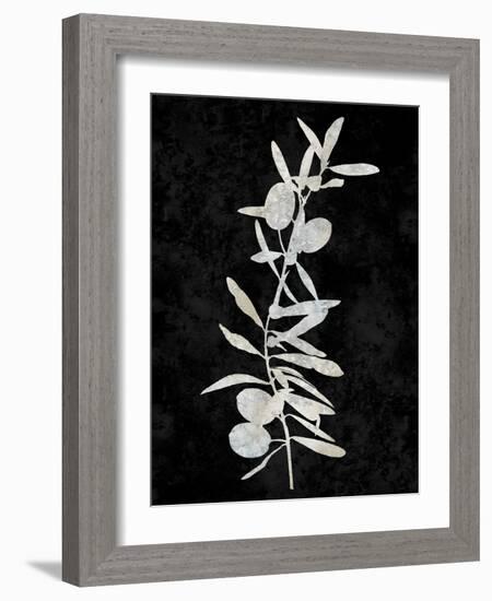 Nature White on Black IV-Danielle Carson-Framed Art Print