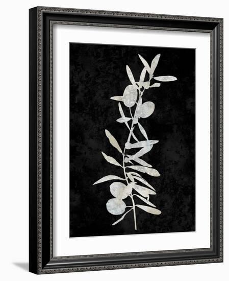 Nature White on Black IV-Danielle Carson-Framed Art Print