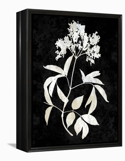 Nature White on Black V-Danielle Carson-Framed Stretched Canvas