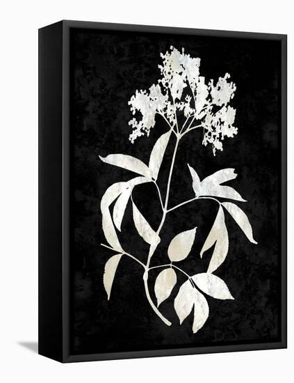 Nature White on Black V-Danielle Carson-Framed Stretched Canvas