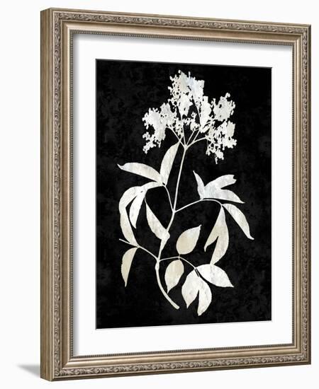 Nature White on Black V-Danielle Carson-Framed Art Print