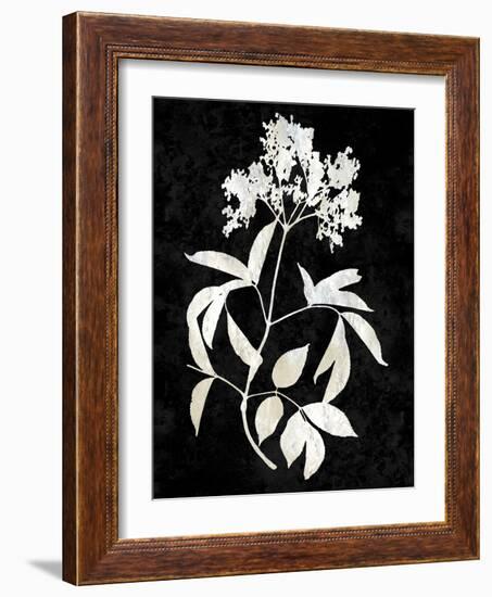 Nature White on Black V-Danielle Carson-Framed Art Print