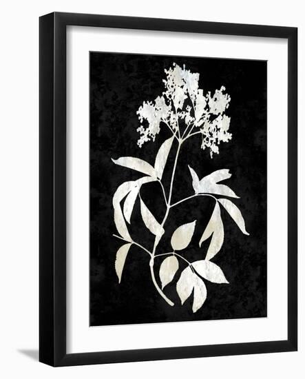 Nature White on Black V-Danielle Carson-Framed Art Print