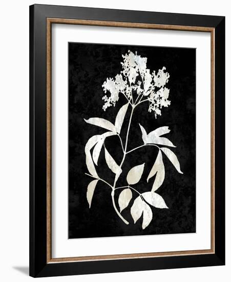 Nature White on Black V-Danielle Carson-Framed Art Print