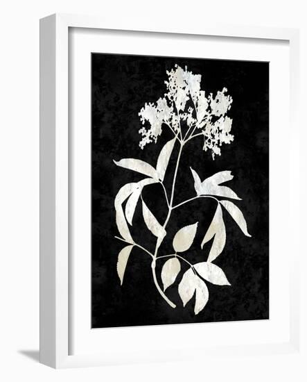 Nature White on Black V-Danielle Carson-Framed Art Print