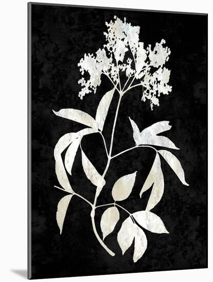 Nature White on Black V-Danielle Carson-Mounted Art Print