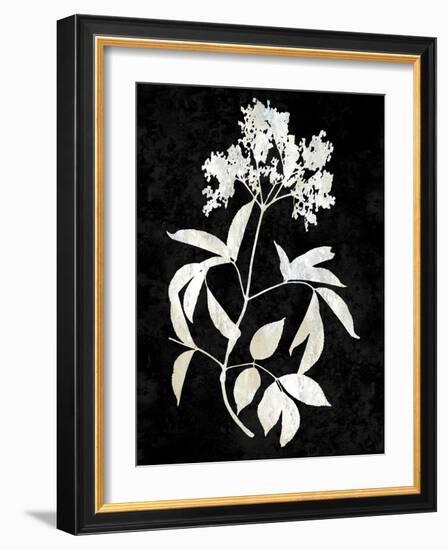 Nature White on Black V-Danielle Carson-Framed Art Print