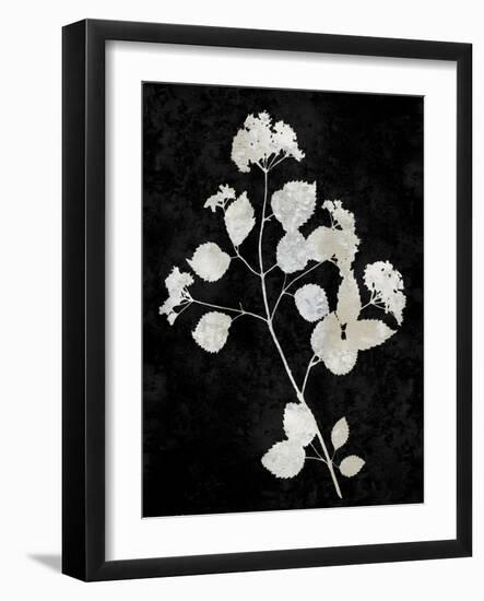 Nature White on Black VI-Danielle Carson-Framed Art Print