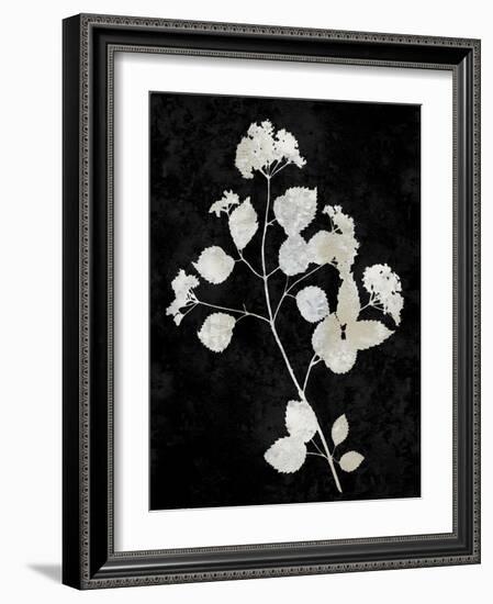 Nature White on Black VI-Danielle Carson-Framed Art Print