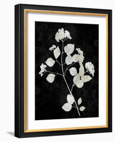 Nature White on Black VI-Danielle Carson-Framed Art Print