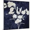 Nature White on Blue III-Danielle Carson-Mounted Art Print