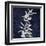 Nature White on Blue IV-Danielle Carson-Framed Art Print