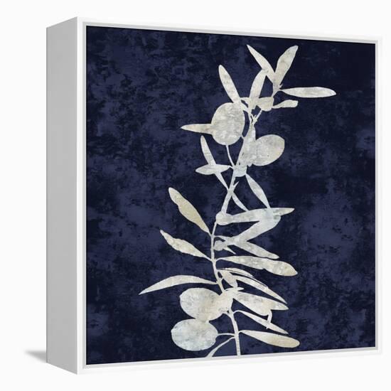 Nature White on Blue IV-Danielle Carson-Framed Stretched Canvas