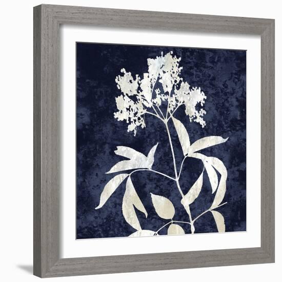 Nature White on Blue V-Danielle Carson-Framed Art Print