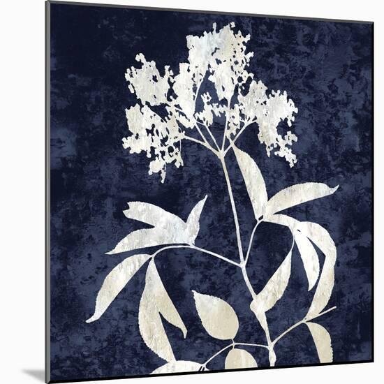 Nature White on Blue V-Danielle Carson-Mounted Art Print