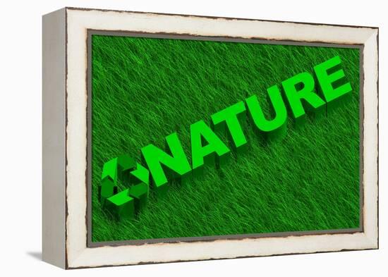 Nature Word over Green Grass-marphotography-Framed Stretched Canvas