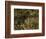 Nature-Eliseu Meifren i Roig-Framed Giclee Print