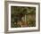 Nature-Eliseu Meifren i Roig-Framed Giclee Print