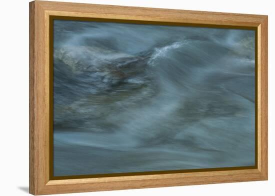 Nature-Anthony Paladino-Framed Premier Image Canvas