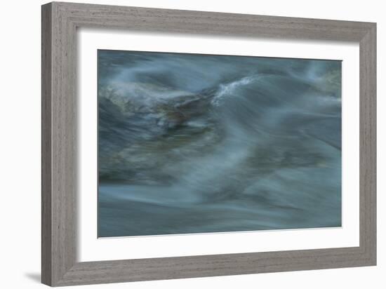 Nature-Anthony Paladino-Framed Giclee Print