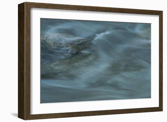 Nature-Anthony Paladino-Framed Giclee Print