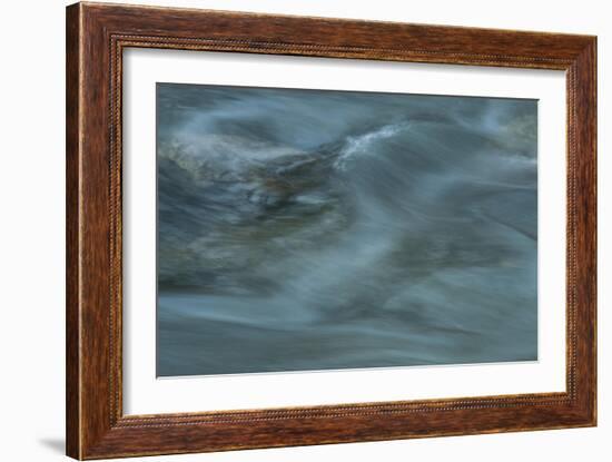 Nature-Anthony Paladino-Framed Giclee Print