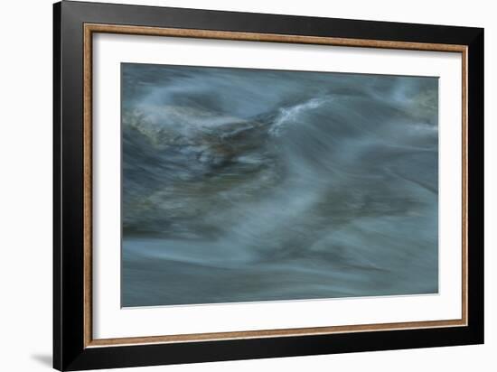 Nature-Anthony Paladino-Framed Giclee Print