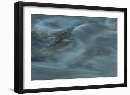 Nature-Anthony Paladino-Framed Giclee Print