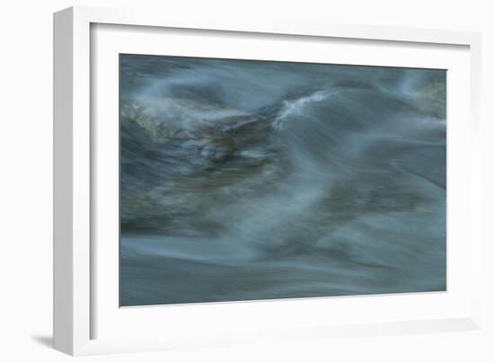 Nature-Anthony Paladino-Framed Giclee Print