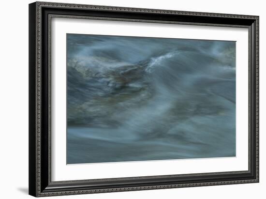 Nature-Anthony Paladino-Framed Giclee Print