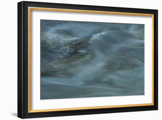 Nature-Anthony Paladino-Framed Giclee Print